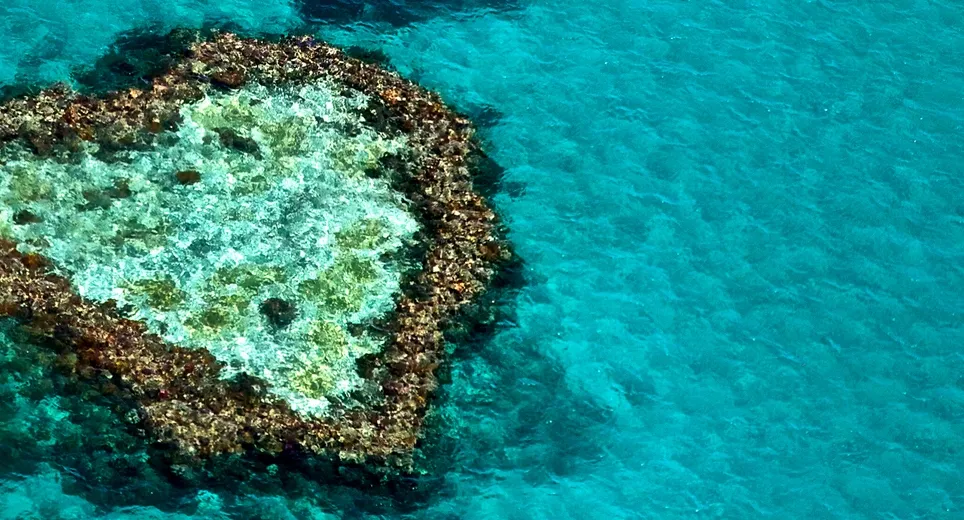 Cairns