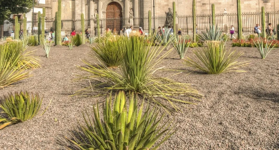 Ciudad de México