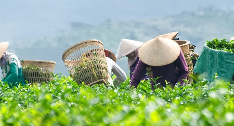 Da Lat