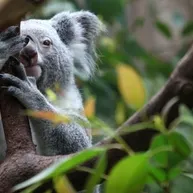 Rockhampton, Queensland